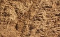 Areia Grossa